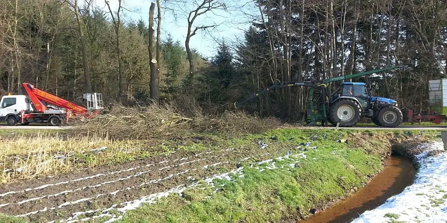 holzhaeckseln_003