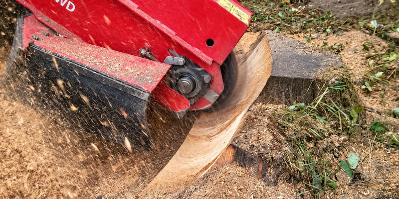 Stubbenfräse beim Entfernen eines Baumstumpfes